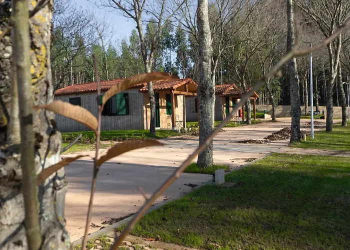 Teiraboa Base Camp Arzúa